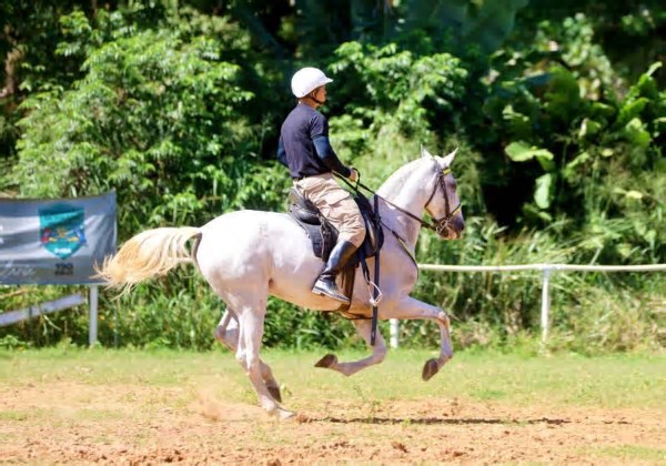 Cavalaria da PM-BA completa 190 anos com programação especial durante a semana