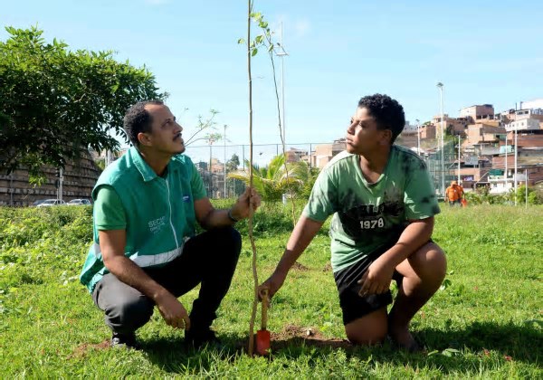 Salvador celebra o Dia da Mata Atlântica com o plantio de 1,2 mil mudas em seis regiões da cidade