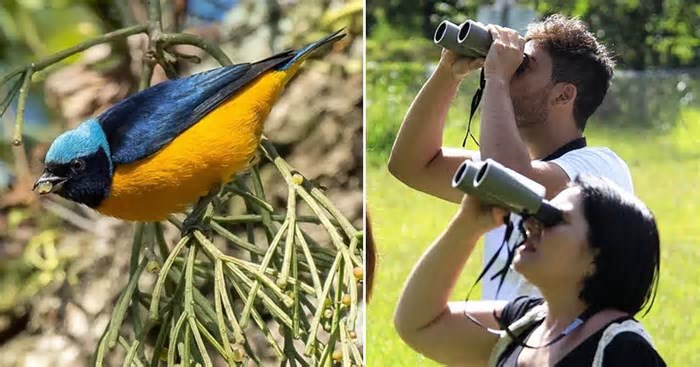 São Paulo lança roteiros de vida silvestre na Avistar Brasil 2025