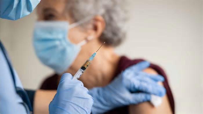 Proteção garantida? Veja as vacinas aprovadas contra a gripe aviária