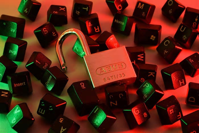 Dinamo pede maior clareza para regulação de controles tecnológicos de chaves privadas em cripto