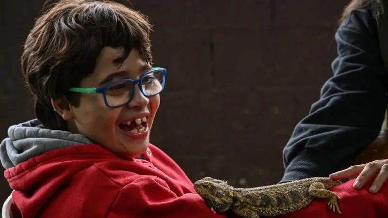 13 revelações do Censo inédito sobre autistas e pessoas com deficiência no Brasil
