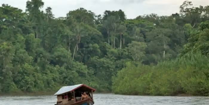 Indígenas da Amazônia processam New York Times por insinuar vício da aldeia em pornografia