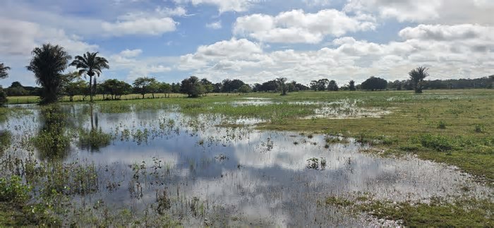 Os extremos do Marajó: ilha sintetiza riqueza e desigualdade da Amazônia