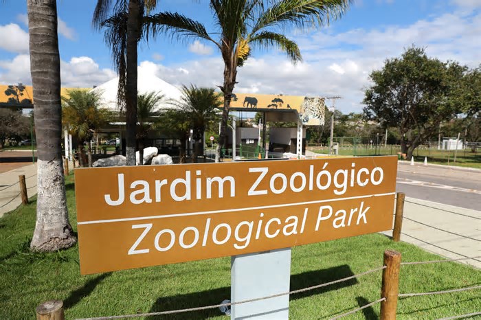 Zoológico de Brasília é fechado por suspeita de casos de gripe aviária com morte de animais