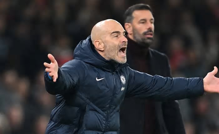 Trunfo de Enzo Maresca faz Liam Delap topar assinar com o Chelsea ao invés do Man United