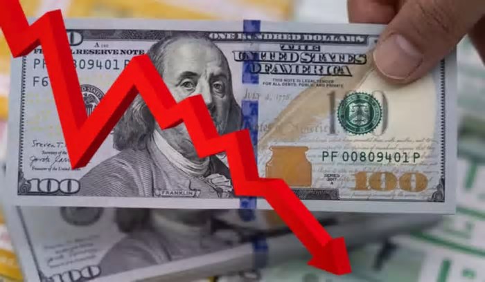 Valor do dólar hoje: cotação da moeda abre semana em queda na segunda-feira (26)