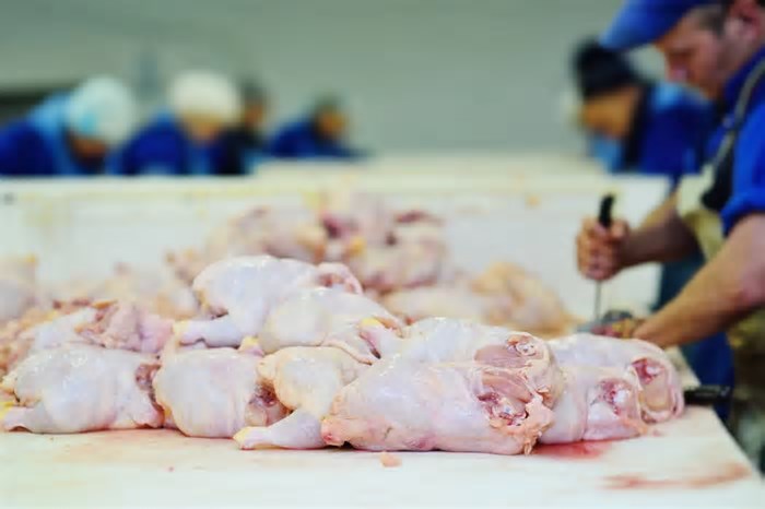 Gripe aviária suspende exportações de frango para a China e pressiona ações na Bolsa