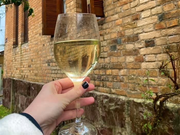 Evento celebra o Dia do Vinho com degustações, cultura e entrada gratuita em Caxias do Sul