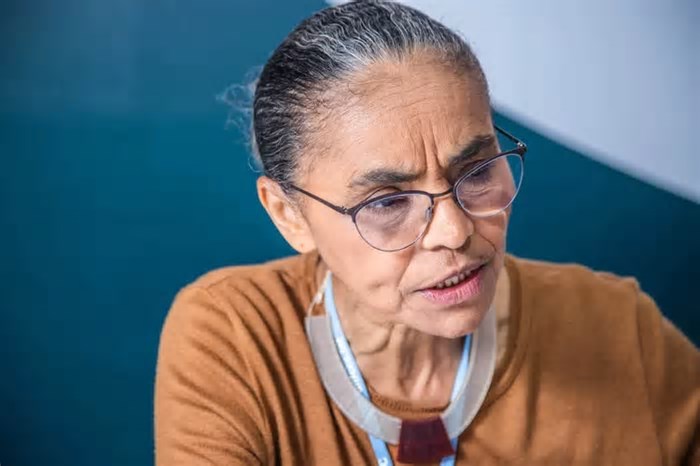 Brutamontes – travestidos de senadores – tentaram intimidar a ministra do Meio Ambiente, Marina da Silva