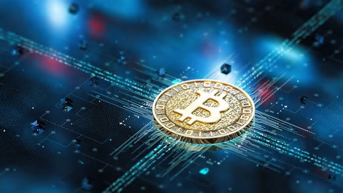 Ajuste no bitcoin (BTC): maior criptomoeda do mundo sustenta os US$ 103 mil, apesar da queda; veja o que mexe com os preços hoje