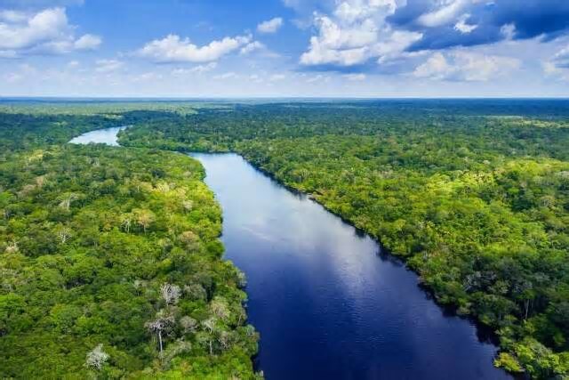 Veja dicas para quem visita a Amazônia pela primeira vez