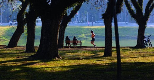 Parques de SP celebram o Dia Nacional do Pau-Brasil