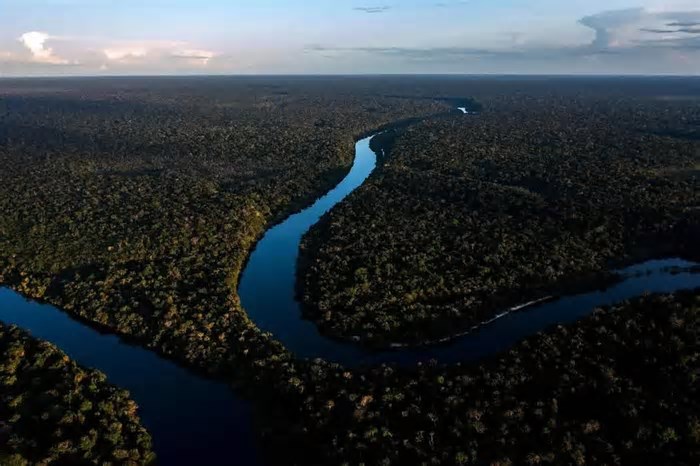 Forças opostas na Amazônia: ciência e interesses em disputa