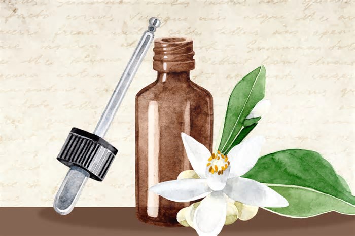 Plantas medicinais: tradição, saúde e ciência lado a lado