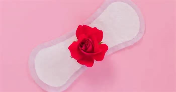 Ciclos menstruais sincronizam em mulheres que convivem muito? A ciência responde