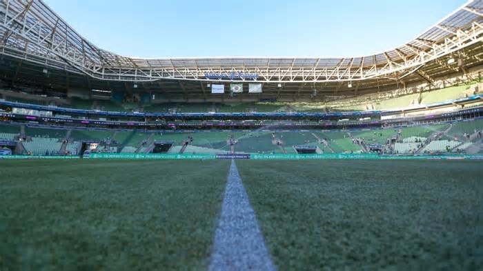 Palmeiras x Flamengo: onde assistir ao vivo, horário, palpites e prováveis escalações do jogo do Brasileirão