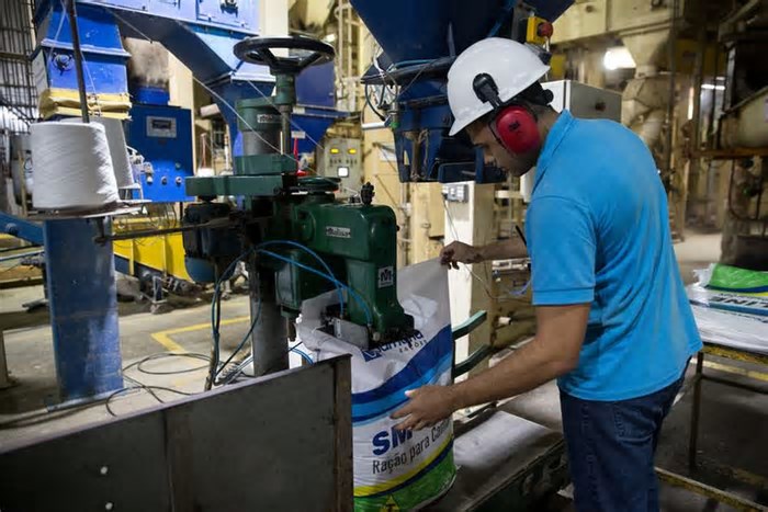 Quais são as cidades cearenses com alto desenvolvimento em emprego e renda? Veja municípios