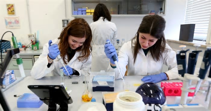 Inutile pensare che la tecnologia ci salverà: i dati della ricerca scientifica non sono mai neutri