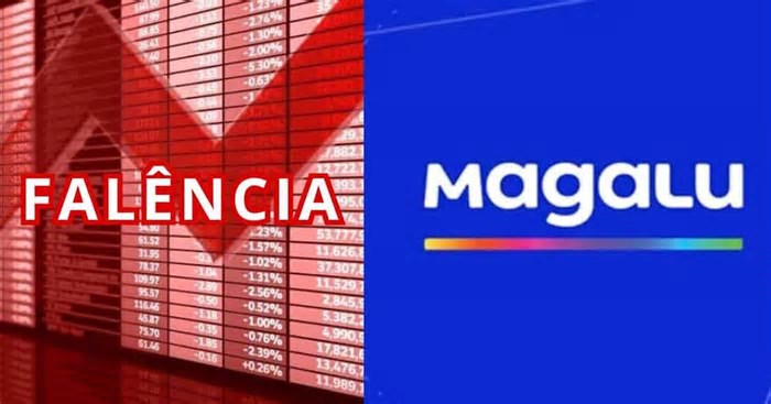 Magalu e falência (Foto: Reprodução - TV Foco)
