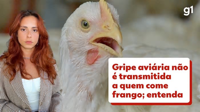 Gripe aviária: Instituto de Defesa Agropecuária descarta caso suspeito da doença em MT