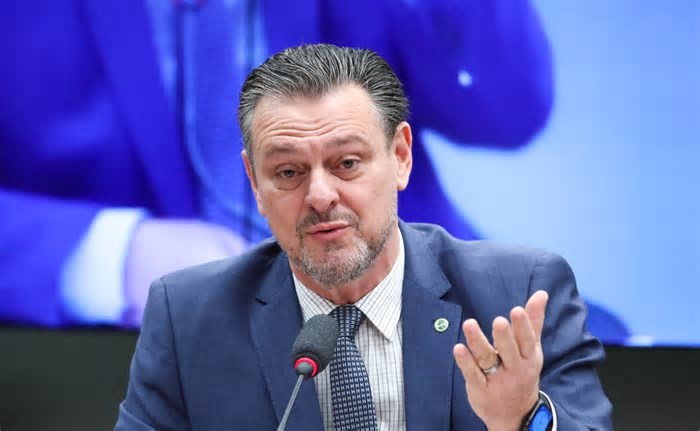Gripe aviária: entre seis casos em análise, três deram negativo e três aguardam resultados, diz ministério
