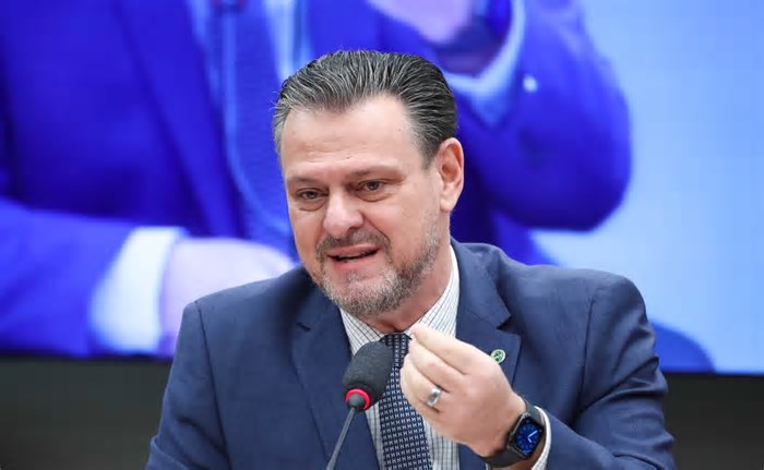 Gripe aviária: primeiros 15 dias após a doença serão decisivos, afirma ministro