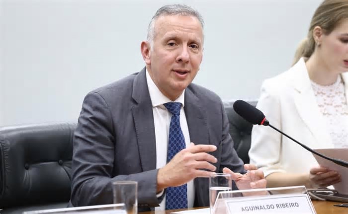 Relator de projeto que regulamenta Inteligência Artificial prevê relatório para novembro