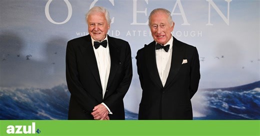 David Attenborough completa 99 anos com novo filme dedicado ao oceano