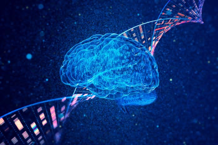 Com a ajuda da IA, pesquisadores descobrem possível causa do Alzheimer - e estudam novo tratamento