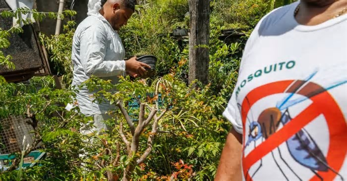 Casos de dengue no Brasil caem 59% em relação a 2024, diz levantamento