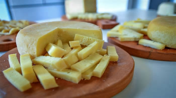Festival do Queijo Artesanal de Minas ocorre em junho em BH; saiba mais