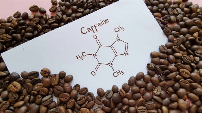 Como a cafeína afeta o sono? Ciência investiga o impacto cerebral