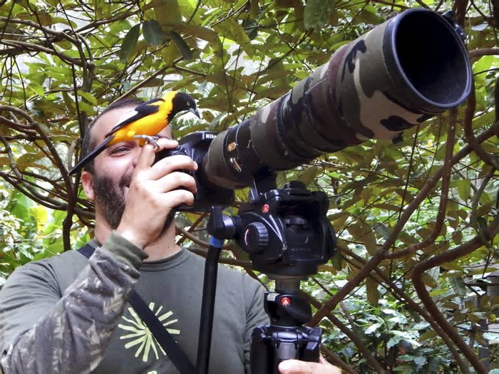 A paixão pela Observação da Natureza e a Bioblitz da Mata Atlântica