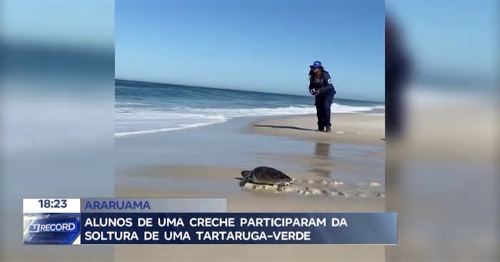 Alunos de creche participam de soltura de tartaruga-verde em Araruama (RJ)