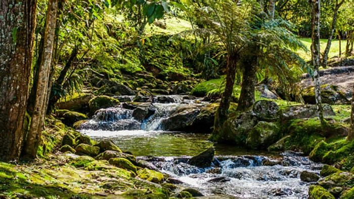 Paraíso natural e aberto à visitação no Rio de Janeiro registra temperatura mínima do ano: -6,8°C