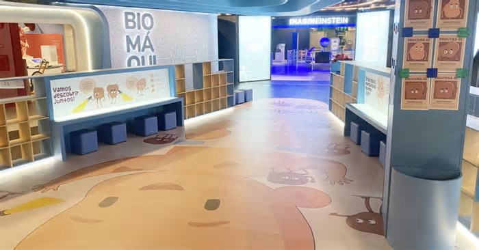 Museu da Imaginação inaugura nova ala com exposições interativas em SP