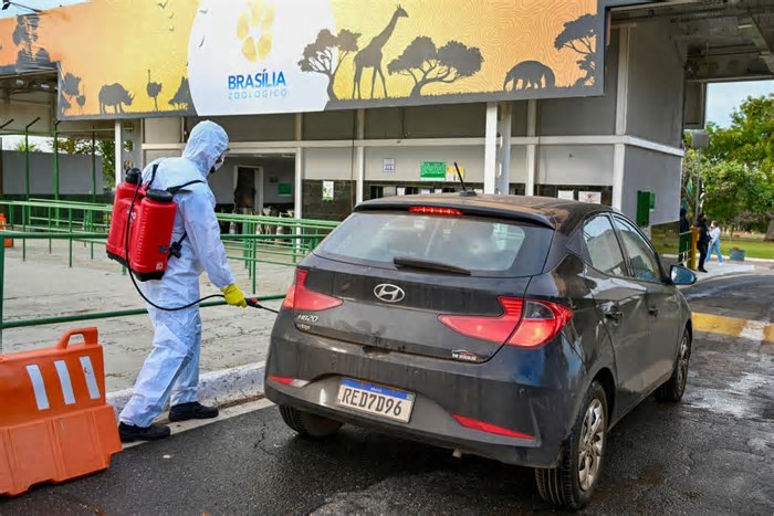 Ministério da Agricultura investiga suspeita de gripe aviária no Zoológico de Brasília