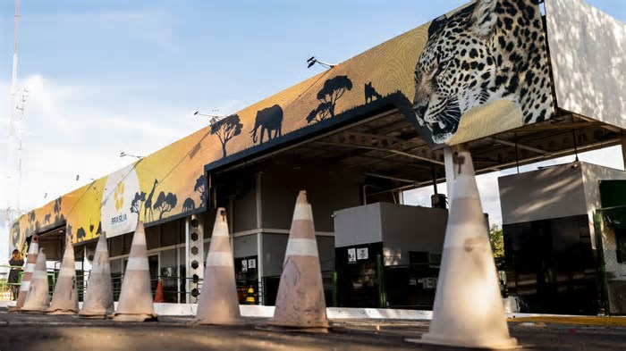 Suspeita de gripe aviária leva a fechamento de Zoológico de Brasília