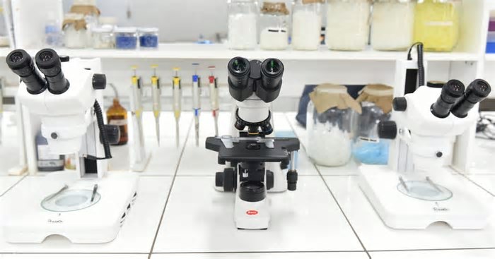 Mundial: exames anti-doping terão participação de órgão dos Estados Unidos
