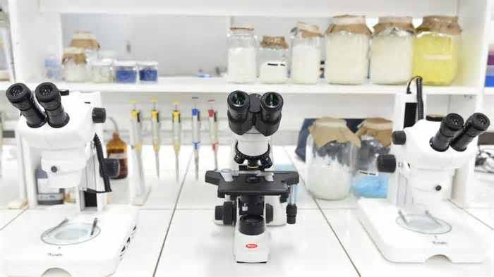 Agência Anti-Doping dos Estados Unidos e Fifa terão parceira