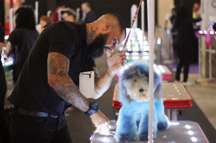 Mercadão pet: feira em BH tem previsão de girar R$ 14 milhões em negócios
