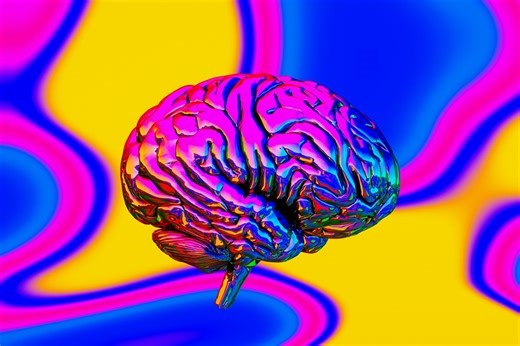 Como o cérebro cria memórias? Ciência desvenda mecanismos da lembrança