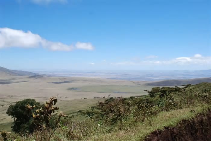 África está a dividir-se em duas e em breve surgirá um novo oceano? Eis o que diz a ciência