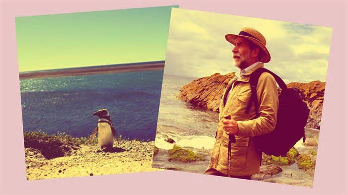 O pinguim que seguiu um professor em uma praia no Uruguai e foi viver com ele na Argentina