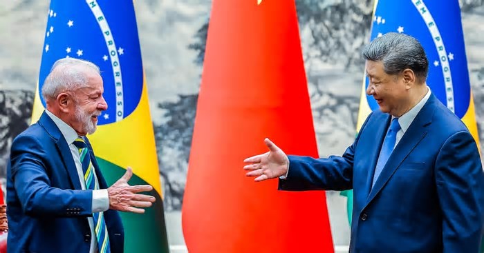 Presidente do Conselho de Administração do Bradesco