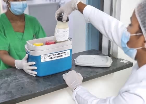 Doações de leite materno auxiliaram mais de 219 mil bebês no Brasil