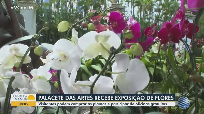 Semana Nacional de Museus é celebrada com programação especial na Bahia; confira