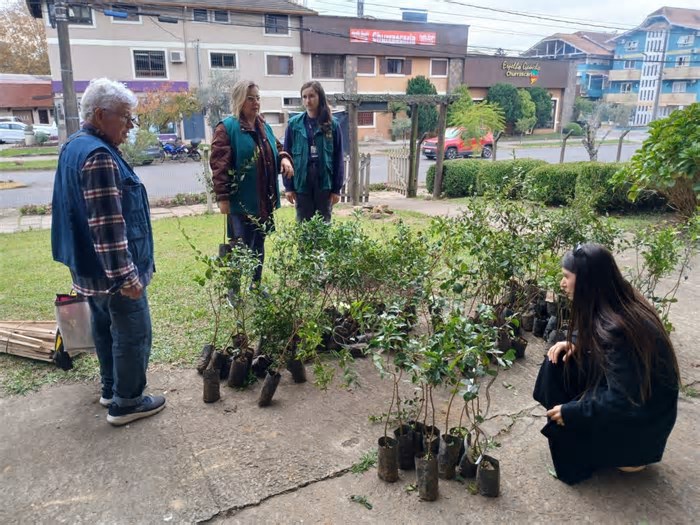 Gramado e Canela preparam programação para Semana do Meio Ambiente; confira detalhes