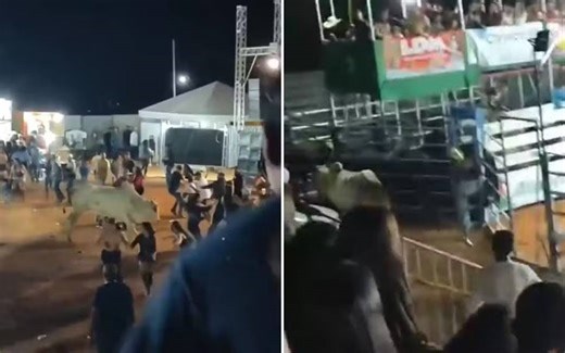 Touro escapa de arena em rodeio e causa tumulto em Goiás. Veja vídeo